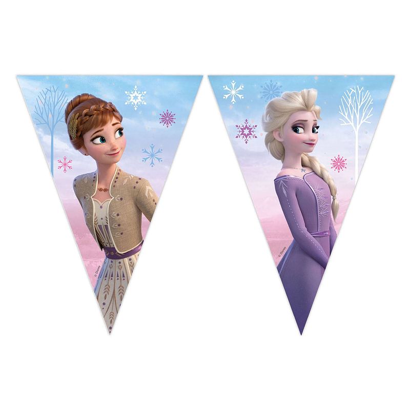 Foto van Globos papieren vlaggenlijn fsc frozen 2 wind spirti, 3mtr.