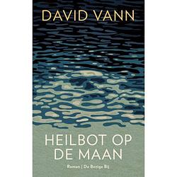 Foto van Heilbot op de maan