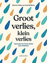 Foto van Groot verlies, klein verlies - eleanor haley, litsa williams - paperback (9789026361579)