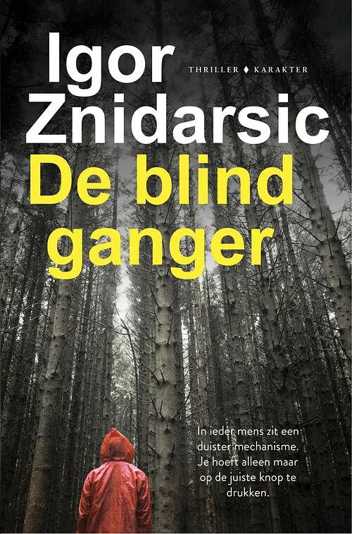 Foto van De blindganger - igor znidarsic - ebook (9789045212616)