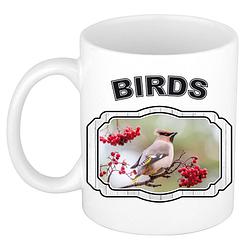 Foto van Dieren pestvogel beker - birds/ vogels mok wit 300 ml - feest mokken