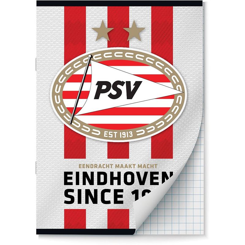 Foto van Psv schriften ruit 10 mm a4 - 2 stuks