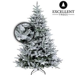 Foto van Kerstboom excellent trees® otta 180 cm - luxe uitvoering