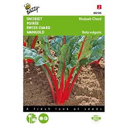 Foto van 5 stuks bieten red chard micro leaf tuinplus