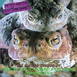 Foto van Mating sounds of south american frogs - lp (3481575603969)