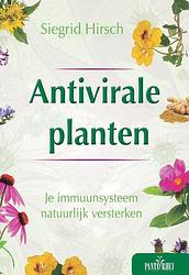 Foto van Antivirale planten - siegrid hirsch - paperback (9789088402500)