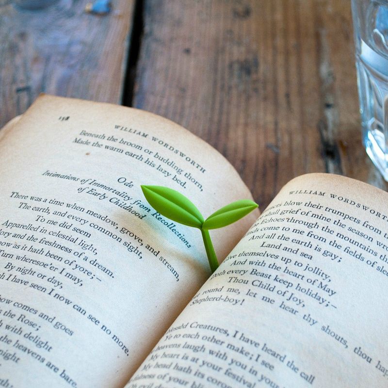 Foto van Kiemplant boekenlegger (set van 3)