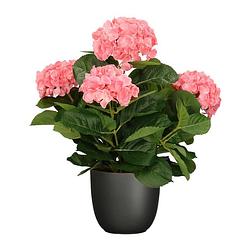 Foto van Hortensia kunstplant/kunstbloemen 45 cm - roze - in pot zwart mat - kunstplanten