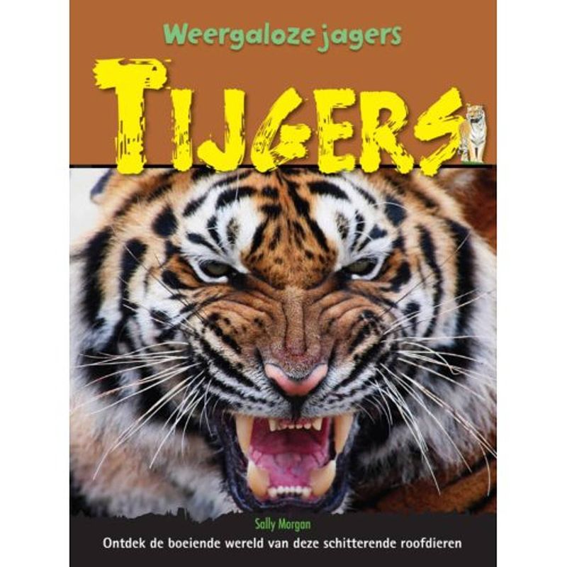 Foto van Tijgers - weergaloze jagers