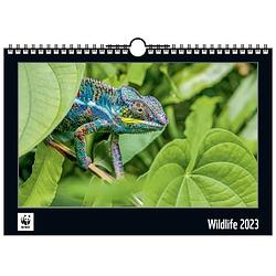 Foto van Wwf wandkalender 2023