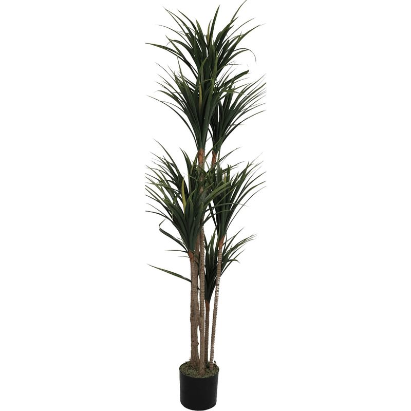 Foto van Dracaena kunstplant 170cm