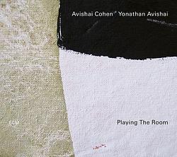 Foto van Playing the room - cd (0602577522772)