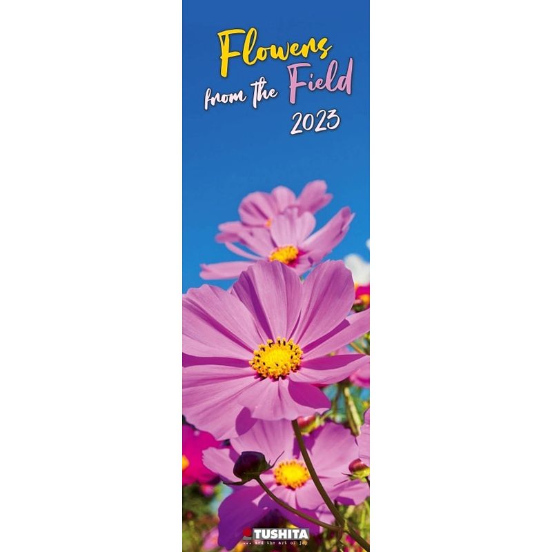 Foto van Flowers from the field kalender 2023 slimline