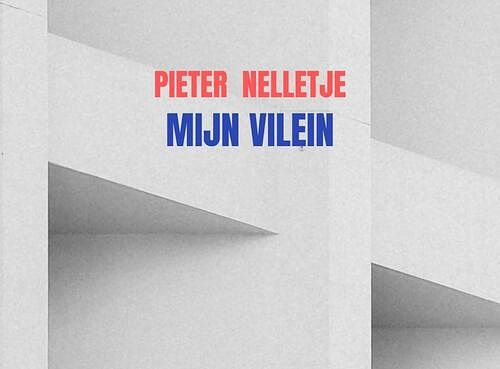 Foto van Mijn vilein - pieter nelletje - paperback (9789403703886)