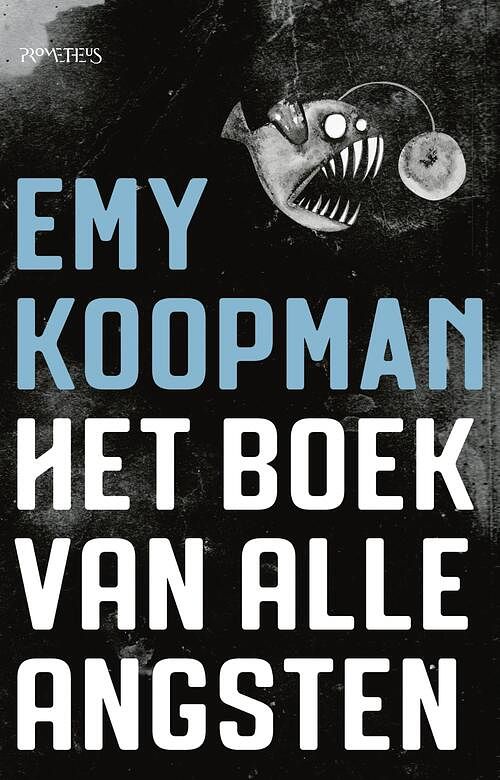 Foto van Het boek van alle angsten - emy koopman - ebook (9789044634235)