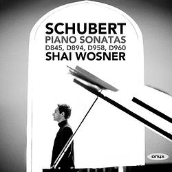 Foto van Schubert: piano sonatas - cd (0880040421726)