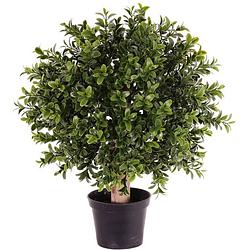 Foto van Buxus bol kunstplant op stam in pot 35 cm