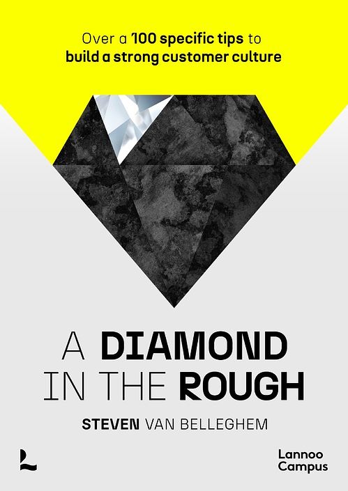 Foto van A diamond in the rough - steven van belleghem - ebook