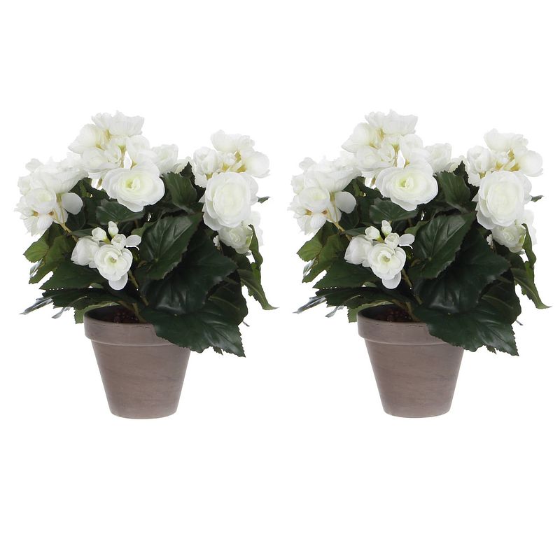 Foto van 2x stuks witte begonia kunstplant 30 cm in grijze pot - kunstplanten