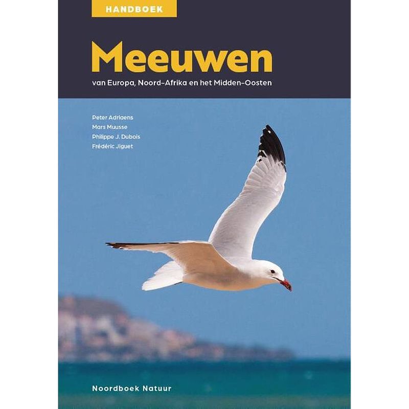 Foto van Meeuwen