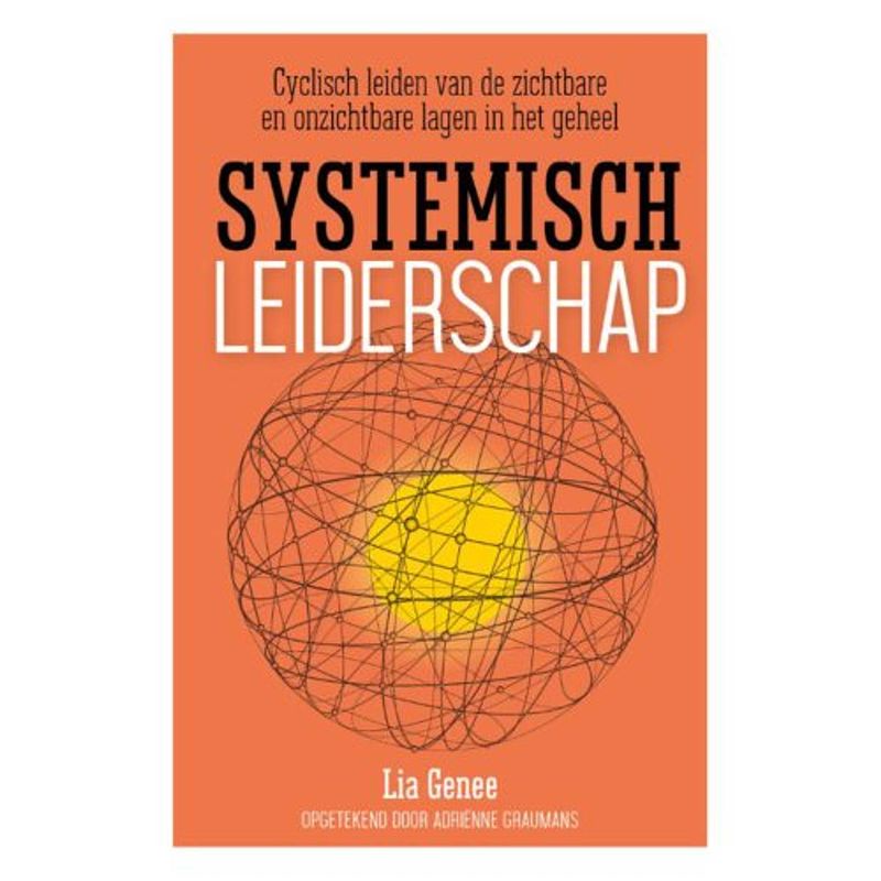 Foto van Systemisch leiderschap