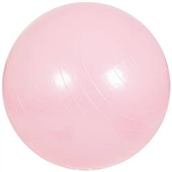 Foto van Gorilla sports fitness bal roze 65 cm ( met handige pomp)