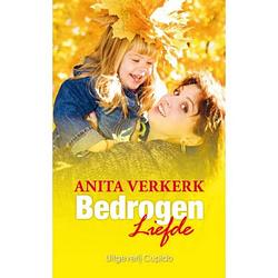 Foto van Bedrogen liefde - amber trilogie