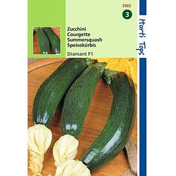 Foto van 2 stuks ht courgette diamant f1