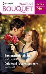 Foto van Een prachtig plaatje / driemaal is scheepsrecht - nina harrington, ally blake - ebook