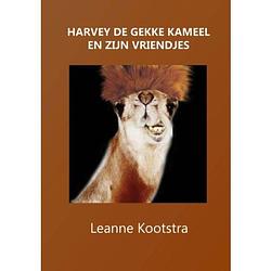 Foto van Harvey de gekke kameel en zijn vriendjes