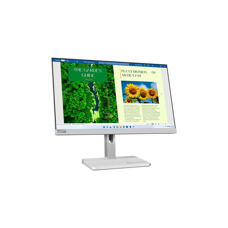 Foto van Lenovo l24m-40 monitor grijs