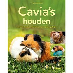 Foto van Cavia's houden