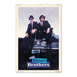 Foto van Grupo erik the blues brothers poster 61x91,5cm