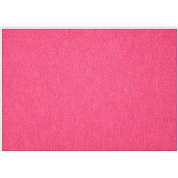 Foto van Daff easy.pet - petup placemat recyclebaar 31 x 42 cm - kunststof - roze