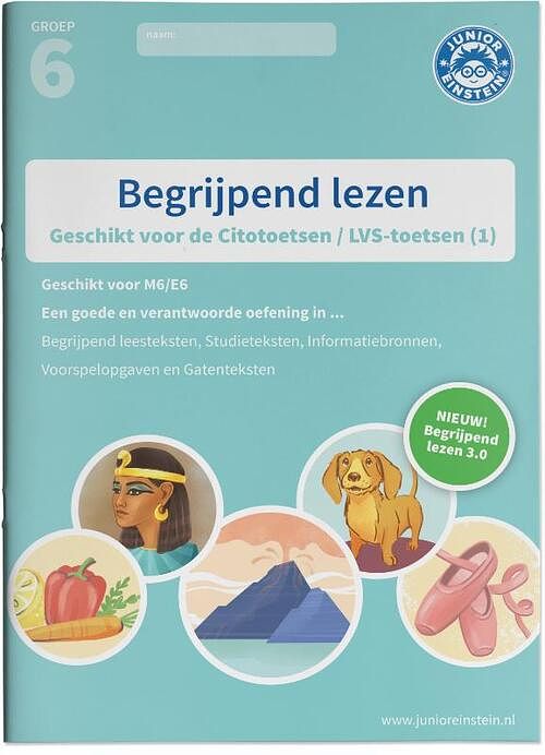 Foto van Begrijpend lezen - paperback (9789492265593)