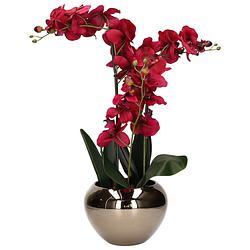 Foto van Atmosphera orchidee bloem kunstplant - roze - h56 x b40 cm - in zilveren pot - kunstplanten