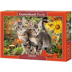 Foto van Castorland puzzel kitten buddies 68 cm karton 1500 stukjes