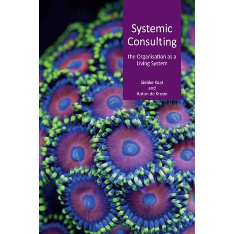 Foto van Systemic consulting