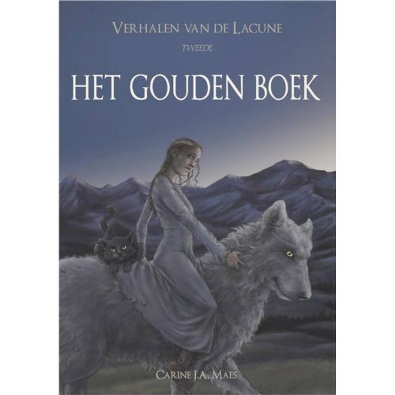 Foto van Het gouden boek - verhalen van de lacune