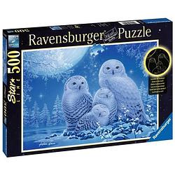 Foto van Star line puzzle 500 p - uilen in het maanlicht