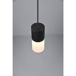 Foto van Industriële hanglamp robin - metaal - zwart