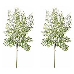 Foto van 2x kunstplant takken venushaar tak van 58 cm groen - kunstplanten