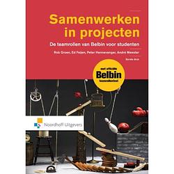 Foto van Samenwerken in projecten