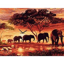 Foto van Rubye diamond painting volwassenen & kinderen - diamond painting pakket volledig - olifanten familie - 30x40cm