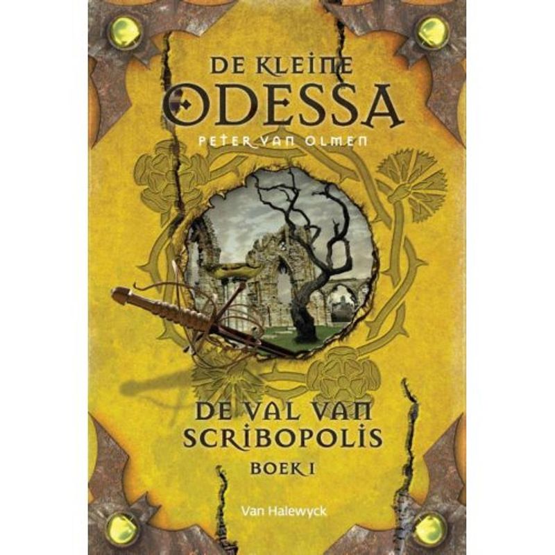 Foto van De val van scribopolis / boek 1 - de kleine odessa