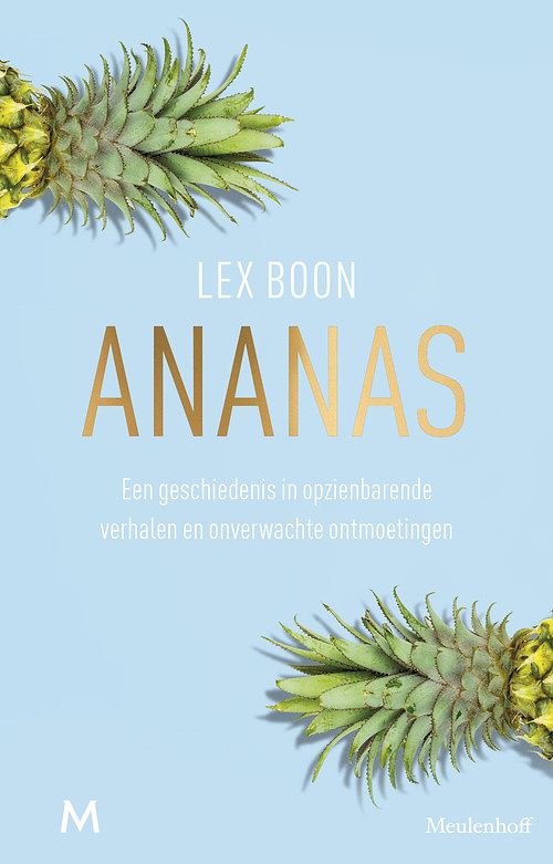 Foto van Ananas - lex boon - ebook (9789402309621)