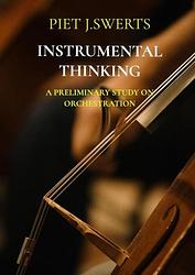 Foto van Instrumental thinking - piet j. swerts - paperback (9789464920338)