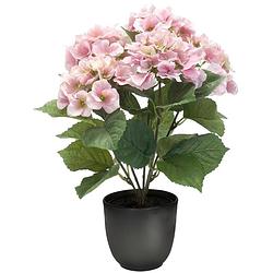 Foto van Hortensia kunstplant/kunstbloemen 40 cm - roze - in pot mat zwart - kunstplanten