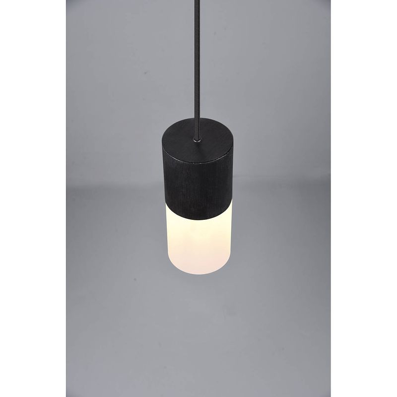 Foto van Industriële hanglamp robin - metaal - zwart