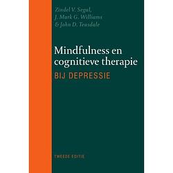 Foto van Mindfulness en cognitieve therapie bij depressie